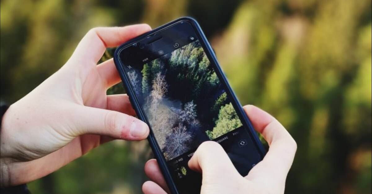 Someone taking a photo of a forest with a smartphone